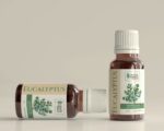 Eucalyptus - Image 3
