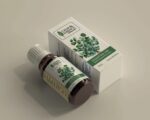 Eucalyptus - Image 4