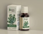 Eucalyptus - Image 2